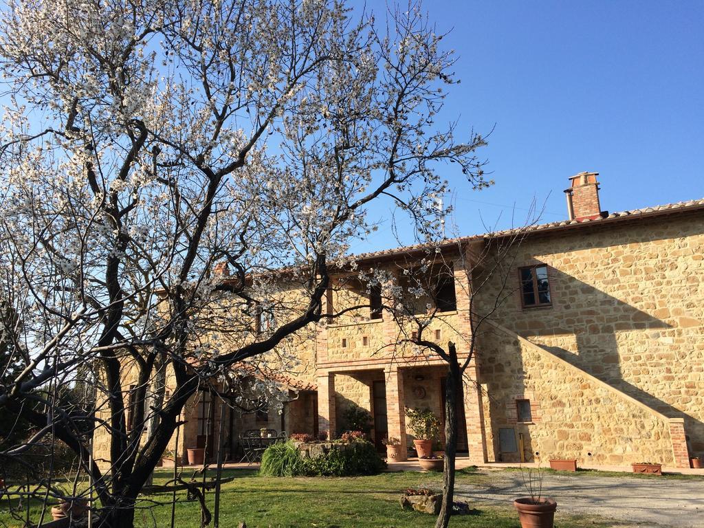 Agriturismo Podere San Gregorio Pienza Exteriér fotografie