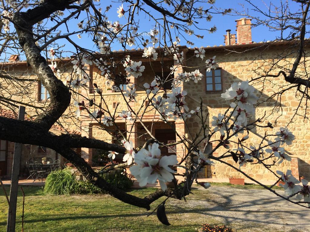 Agriturismo Podere San Gregorio Pienza Exteriér fotografie